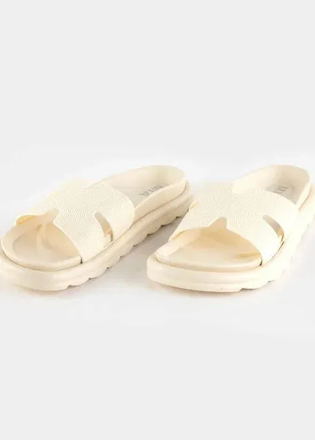 Bertini Slides