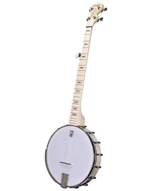Deering Goodtime Special Openback Banjo