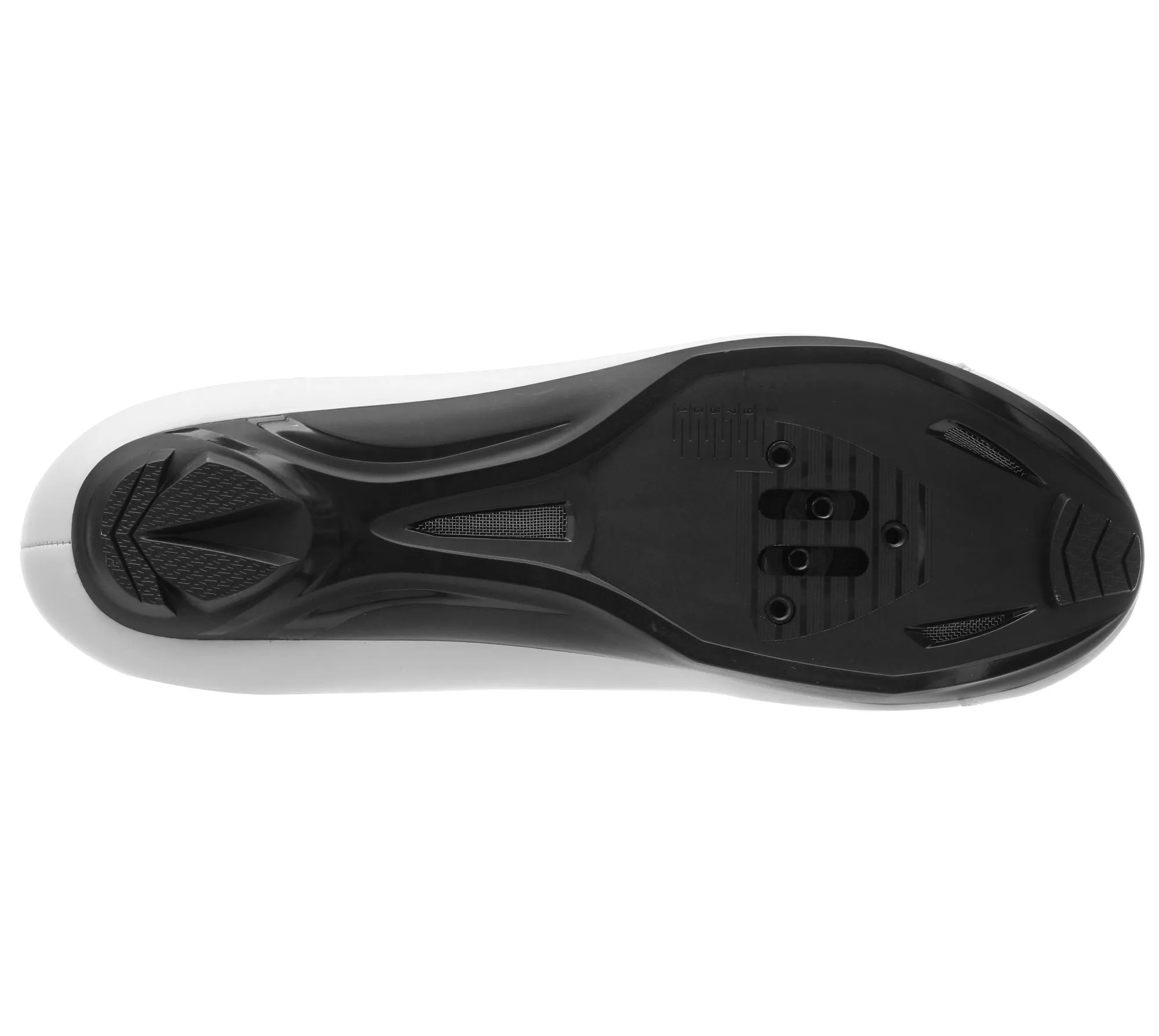 Dorica Road Shoes