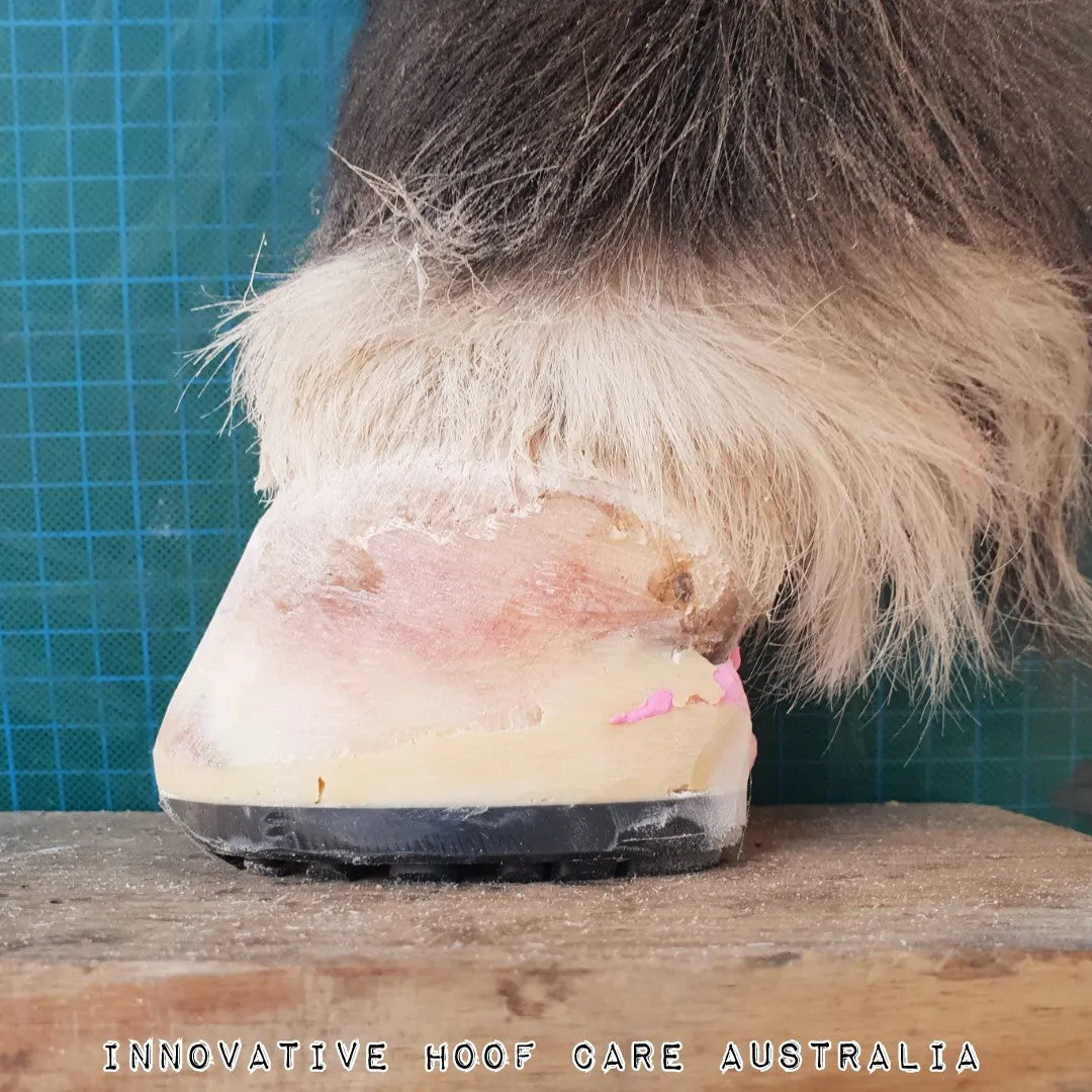 EponaShoe Pony Size (Pair)