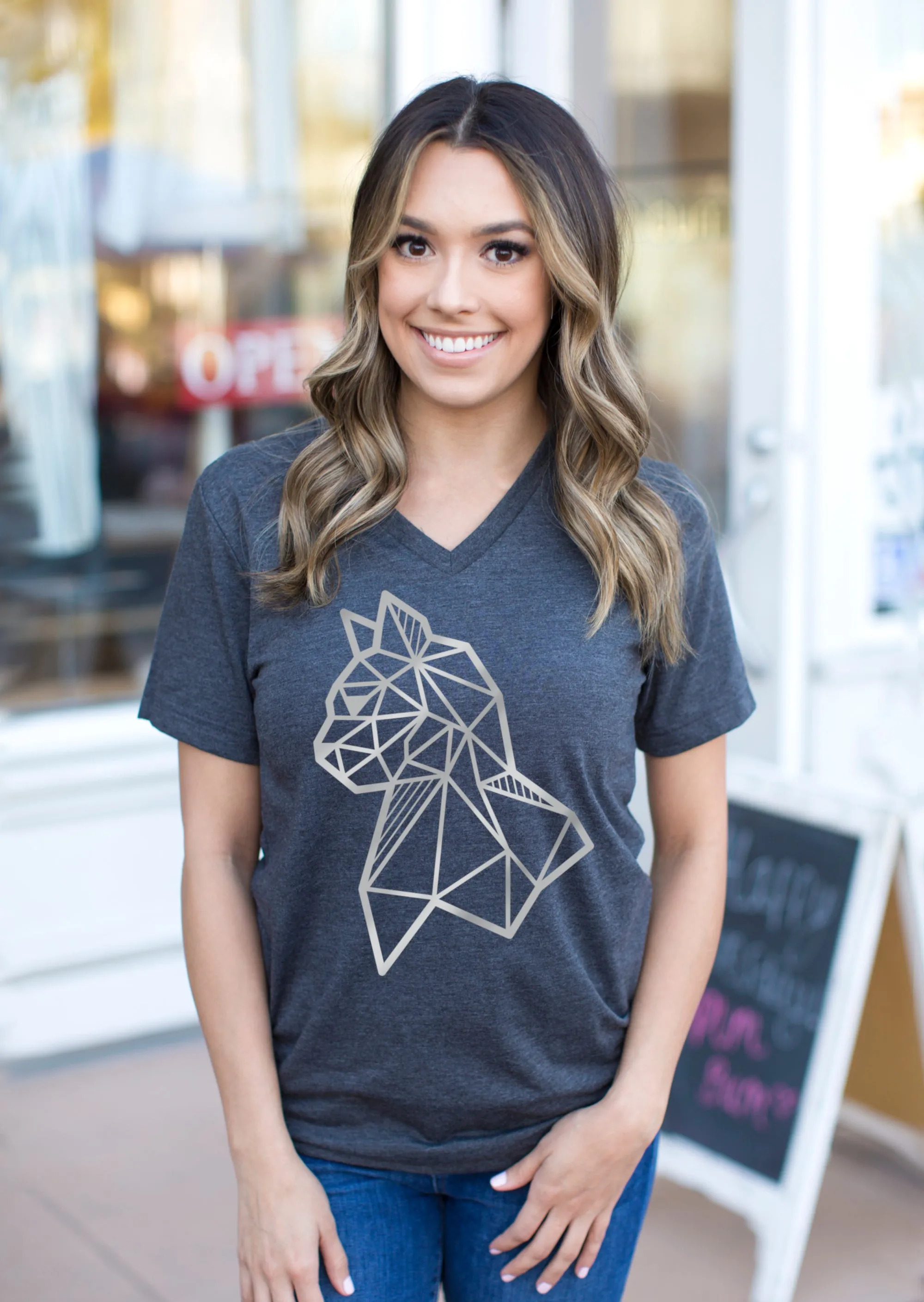 SALE: Silver Geometric Cat T-shirt: V Neck; Crew Neck; Long Sleeve