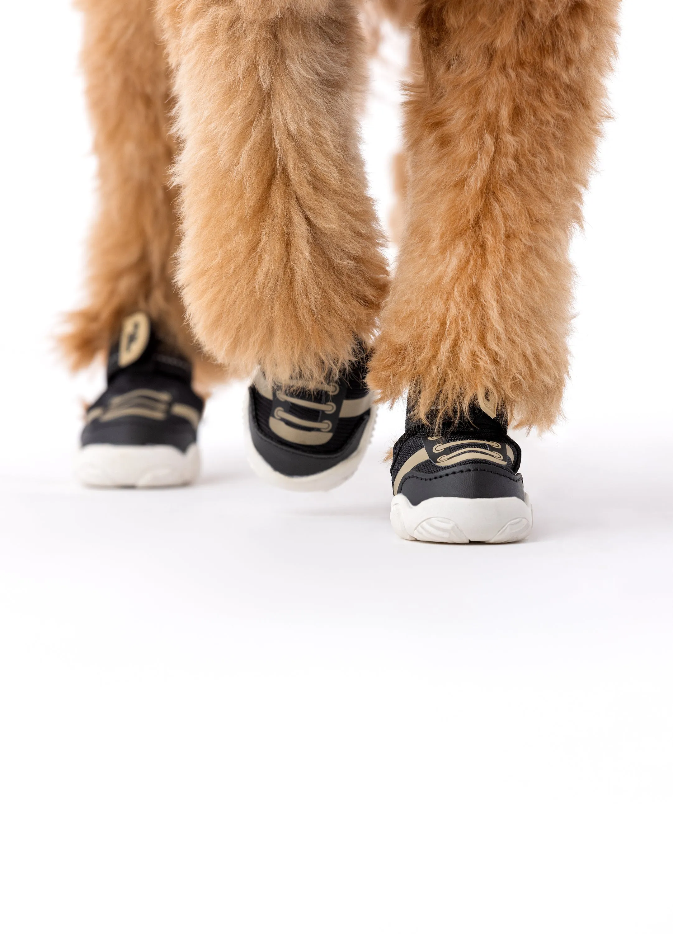 The Kai- Protective Footwear For Dogs